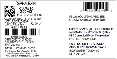 Label (65862 018 01 Cephalexin 250mg 67046 1533 30)